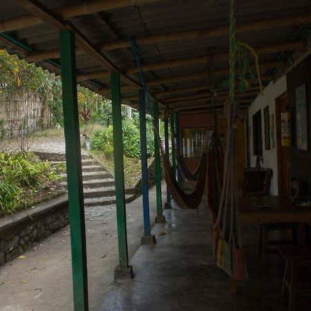 The Plantation House Travellers Hostel Salento Exterior foto