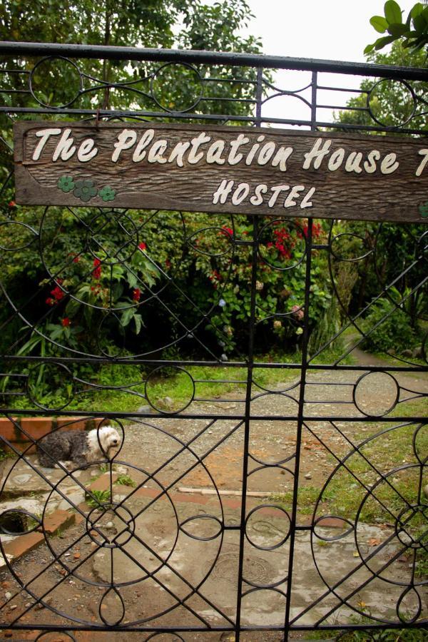 The Plantation House Travellers Hostel Salento Exterior foto