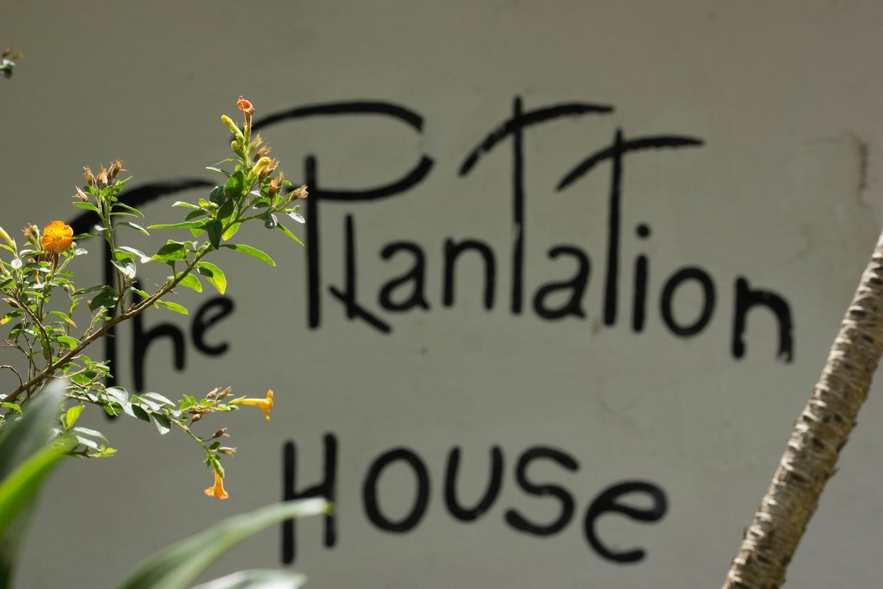 The Plantation House Travellers Hostel Salento Exterior foto